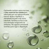 Óleo Essencial de Melaleuca (Tea Tree) - 10ml
